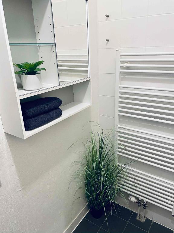 Campea Business Apartments room 6